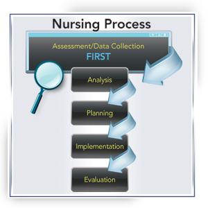 Illustration of the Nursing Process